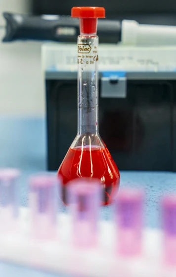 A bright red liquid fills a glass flask on a blue lab bench, with a row of test tubes in soft pinks and purples in front and a pipette resting in the background—science in action and full of colour. A bright red liquid fills a glass flask on a blue lab bench, with a row of test tubes in soft pinks and purples in front and a pipette resting in the background—science in action and full of colour.